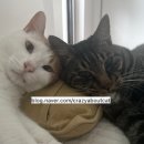 서초대로48길 89-4 이미지