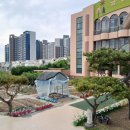 금강사 - 서구 북항로245번길 13-27 | 금강사