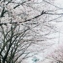 해수욕장길 이미지