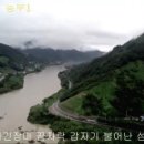 우듬지