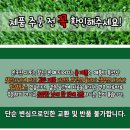 페트와매트카페 이미지