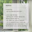 마리엘헤어 이미지
