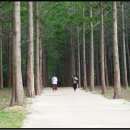 옥동 공원 3 이미지