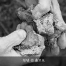 강진미술관 이미지