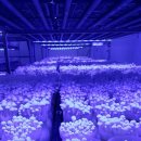 세한농장 이미지