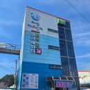 장호항 홍문어 | 삼척 강릉 장호항 내돈내산 맛집 후기 현지인 맛집 추천 홍문어