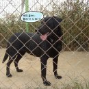 (주)신비로 이미지