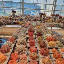 기쁨이네농장 이미지