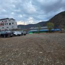 고가식당 - 유성구 | 추천 다슬기무침과 납작만두의 환상 조합 다슬기들깨탕 고등어구이까지 완벽한 고가식당 내돈내산 후기