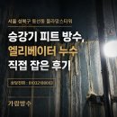 서울 성북구 동선동 플라망스타워 승강기 피트 방수, 엘리베이터 누수 직접 잡은 후기