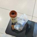 제주도 혼자 일기