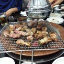 도야지 친구들 이미지