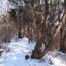 수원목장 이미지