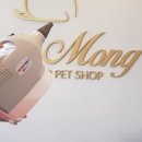 베이비몽 이미지