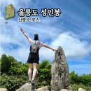 울릉도 성인봉 등산코스, 나리분지에서 정상까지(주차·난이도·소요시간)