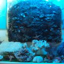 땅끝해양자연사박물관 이미지