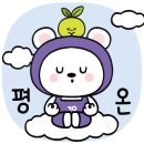 메인행정사사무소 이미지