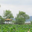 서동공원 이미지