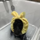 양덕동275 이미지