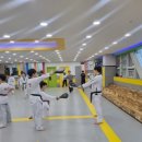 용인대 성민 태권도 이미지