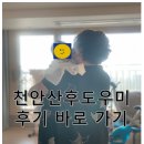 도담도담산후도우미 천안지사 이미지