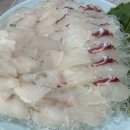 고사포 맛집 별장횟집 내돈내산 솔직후기