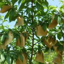 가음농장 이미지