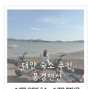 풍경펜션 A동 | 태안 숙소 가성비 좋고 다양한 즐길거리가 있는 풍경펜션 A동 솔직후기