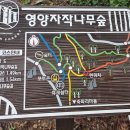 죽파리 경로당 이미지