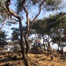 광덕산2로 이미지