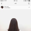 위즈헤어(WIZ)