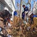 월평2동 행정복지센터 이미지