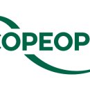 에코 플랜테리어 수경재배 이미지