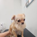 축복미용실 이미지