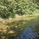 갯골산머루 민박 이미지