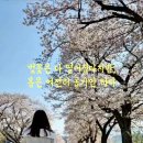 왕인박사유적지 주차장 이미지