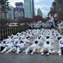 “발달장애 예산 확대해달라” 삭발·오체투지 이어 곡기 끊었다주거생활 서비스 117억원 등 총 6가지‥“극한 돌봄 국가가 책임져야” 이미지