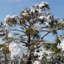 금마3농장 이미지