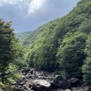 느티나무산장 | 지리산 함양 여름휴가🩵 + 백무동계곡, 숙소 느티나무산장, 느티나무식당 오리백숙