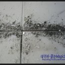 114-운정2-114 이미지