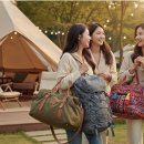 😎 캠핑웨건추천 만족도 높은 이유 TOP 8 (캠핑 난이도 급하락)