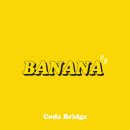 듀오브릿지2 이미지