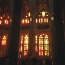 산림약국 이미지