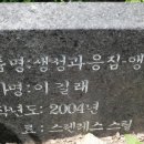 이길래 생성과응집 이미지