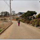 경기둘레길 안산50코스 이미지