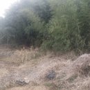 순천주암중학교 이미지