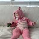 💗내돈내산짧은후기💗[더로하]피그렛보넷세트