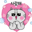 소노카페 오토캠핑장 이미지