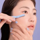 단델리온 이미지