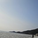 바다산책 | 강화도 동막해수욕장 겨울 바다 산책 후기｜입춘이 지났지만 아직은 해빙 중인 조용한 해변